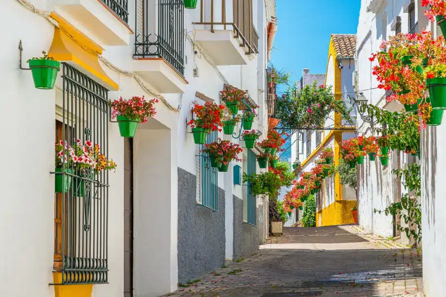 Malaga 2