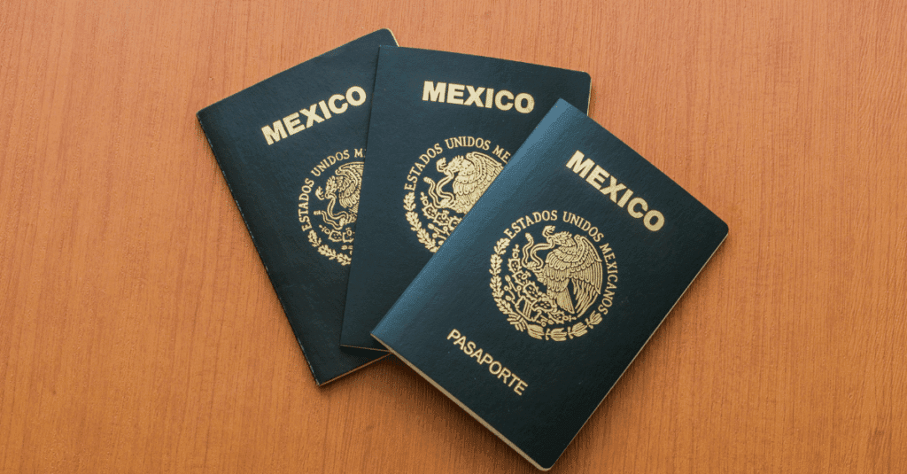 how to get a dual citizenship with mexico