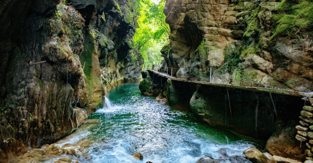 relocate to Querétaro